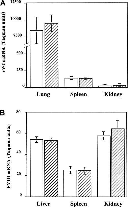 Fig. 4. Effect of rhIL-11 injections on vWf and FVIII mRNA in wild type mice. / Wild type mice were injected daily for 4 days with placebo (■) or 250 μg/kg rhIL-11 (▨). Organs were then collected, and mRNA was prepared. The quantity of message for (A) vWf or (B) FVIII was measured for 125 ng total RNA by the Taqman method. Levels were normalized to murine GAPDH mRNA levels. No significant differences were found between placebo or rhIL-11–injected animals (n = 5).