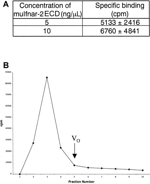 Fig. 5. Binding of soluble muIfnar-2 to type I IFN. / (A) Table showing the specific binding of 32P-muIFNα1 to 5 ng/μL and 10 ng/μL recombinant muIfnar-2 ECD. Data are expressed as the mean ± SD cpm. (B) Histogram showing the elution profile of total 32P-muIFNα1 bound to high-molecular weight complexes in serum. The mean cpm of fractions 2 to 4 were used to determine total binding (mean = 80 403 cpm), specific binding (mean = 38 440 cpm) and nonspecific binding (mean = 41 963 cpm). VO indicates void volume.