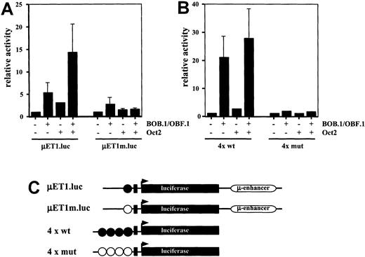 Fig. 4. Transient cotransfections of HD-derived L428 cells. / (A) L428 cells were cotransfected with immunoglobulin promoter/enhancer-driven luciferase reporters and expression vectors for BOB.1/OBF.1 and/or Oct2 as indicated. μET1.luc represents reporter wild type promoter element extending from +19 to −131, μEtm.luc contains the same promoter element with point mutations in the octamer motif (see C). Relative activity is shown and the cotransfections with empty expression vectors were arbitrarily set to 1. (B) L428 cells were cotransfected with wild type (4 × wt) or mutant (4 × mut) octamer-dependent luciferase reporters together with expression vectors for BOB.1/OBF.1 and/or Oct2 as indicated. Relative activity is shown and the cotransfections with empty expression vectors were arbitrarily set to 1. (C) Schematic representation of the reporter constructs used in A and B. Wild-type octamer motifs in the immunoglobulin promoter or synthetic promoter are indicated as filled circles; mutant octamer motifs are shown as open circles. Details about the reporter constructs can be found in Laumen et al12 (for μET1.luc and μET1m.luc) or Pfisterer et al19 (for 4 × wt and 4 × mut).