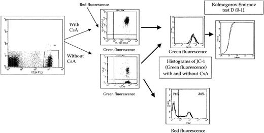 Fig. 1. Expression of results of both green and red JC-1 fluorescence intensities. / The function of Pgp was established with blast cells selected by CD34 antibody or by physical characteristics. Because delta psi changes that occur during apoptosis are manifested by a loss of red fluorescence and because CsA can modify delta psi changes, we initially analyzed the red fluorescence intensity without CsA. The results are very similar if the results of red fluorescence intensity are presented as (1) a percentage of positive cells with CsA or without CsA, (2) absolute red fluorescence intensity, or (3) ratio of red fluorescence with or without CsA.