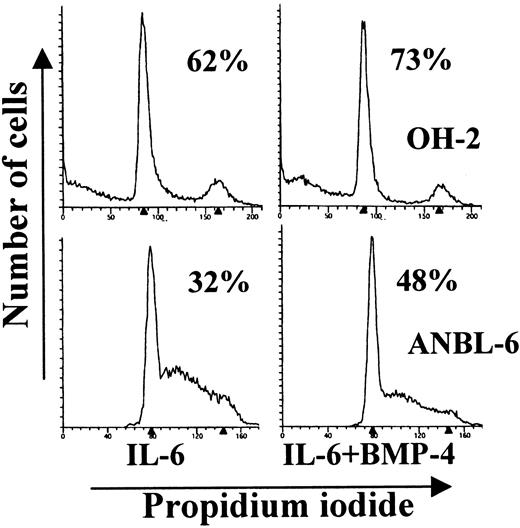 Fig. 5. BMP-4 induces cell cycle arrest in OH-2 and ANBL-6 cells. / OH-2 cells were incubated with 0.1 ng/mL IL-6, with or without 20 ng/mL BMP-4 (upper histograms). ANBL-6 cells were incubated with 1 ng/mL IL-6, with or without 100 ng/mL of BMP-4 (lower histograms). After cytokine stimulation for 18 hours, cells were washed, permeabilized, and stained with PI. Cellular DNA content was measured by flow cytometry. The percentage of cells in the G0/G1phase of the cell cycle is indicated in each histogram.