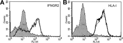 Fig. 1. FACS analysis of sorted CD4+/Vβ5.3+ clonal T cells from patient C. / Approximately 106 isolated malignant T cells were incubated either with (fat lines) or without (thin lines) IFN-γ (500 U/mL) for 40 hours at 37°C in a 5% CO2 atmosphere. Then cells were washed and stained with anti-IFNγR2 antibodies (A), anti-HLA class I antibodies (B), and appropriate isotype-control antibodies for protein surface expression.