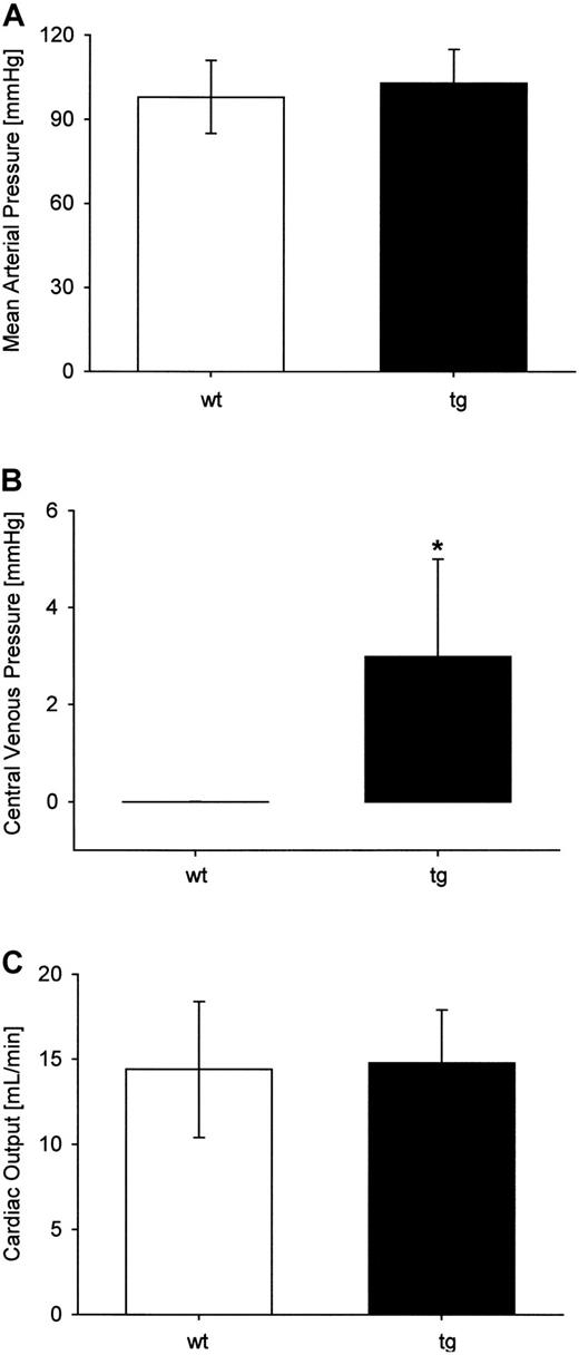 Fig. 5. Cardiovascular data. / (A) Mean arterial pressure measured in the carotid artery was not significantly different between wt and tg mice (wt: n = 12; tg: n = 8). (B) Central venous pressure measured in the cranial vena cava was significantly increased in tg mice (wt: n = 3; tg: n = 5, *P < .05). (C) Cardiac output determined by echocardiography was similar in wt and tg mice (wt: 14.4 ± 4.0 mL/min; tg: 14.8 ± 3.1 mL/min).