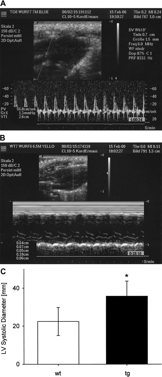 Fig. 6. Representative transthoracic high-frequency echocardiograms. / (A) Pulsed Doppler tracing of the left ventricular outflow tract measured just above the aortic valve without angle correction. (B) M-mode echocardiogram in the parasternal long-axis view. (C) Systolic diameter of the left ventricle (M-mode long-axis view, wt: 11 measurements in 6 mice; tg: 10 measurements in 5 mice) was significantly increased in tg mice, *P < .05.