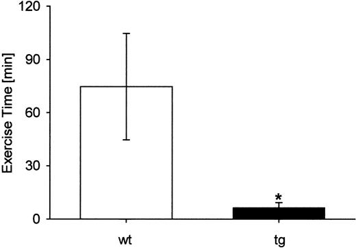 Fig. 9. Exercise testing unmasked the cardiovascular impairment of the tg mice. / During the belt treadmill stress test the time until exhaustion (10 consecutive seconds on the shock grid) was drastically reduced in tg mice (wt: n = 3; tg: n = 4), *P < .05.