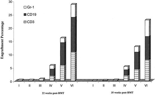 Fig. 4. Multilineage engraftment of B6.SJL marrow into 100-cGy–irradiated BALB/c hosts preexposed to B6.SJL spleen cells and treated with anti-CD40 ligand mAb. / Engrafted mice described in Figure 3 were analyzed for multilineage engraftment by determining the percentage of cells in the host peripheral blood labeled with both CD45.1 and either CD3 (T cells), CD19 (B cells), or Gr-1 (granulocytes) and analyzed by FACS (see “Materials and methods”) at 22 and 35 weeks after transplantation. Data are presented as mean percentage engraftment of donor CD3, CD19, or Gr-1 cells ± SEM. There were 4 to 5 mice per group.