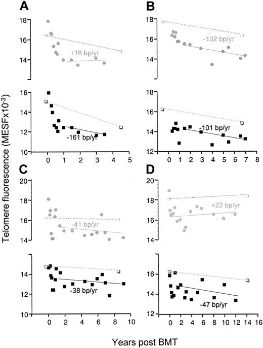 Fig. 1. Accelerated telomere loss after SCT is limited in time. / Analysis of telomere fluorescence of monocytes (shaded circles) and lymphocytes (black squares) isolated from blood samples from patients A-D at different time points after transplantation. Telomere loss (bp/y) was calculated by linear regression analysis (solid line) of the data after the first year following SCT only. Telomere fluorescence of monocytes (open circles) and lymphocytes (open squares) of the respective donors is shown both at the time of transplantation and at the time indicated (dotted line).