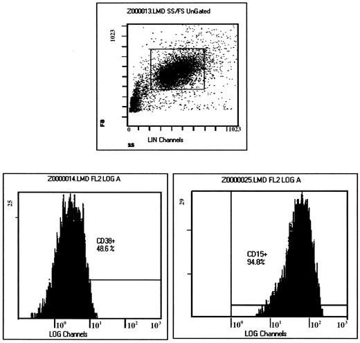 Fig. 3. Light scatter properties of analyzed cells (top). / The flow cytometric histograms clearly show that virtually all CD38+ cells (48.6%) in the gated area are positive for CD15 antigen.