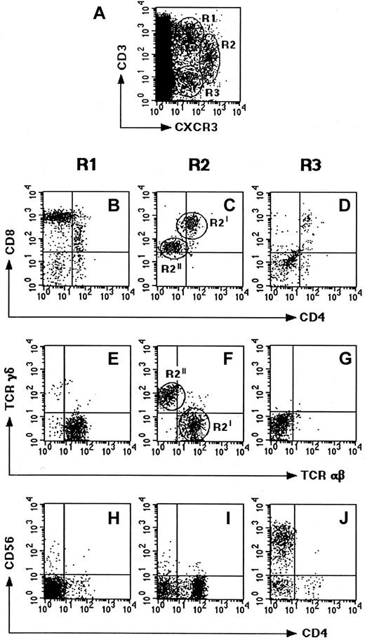 Fig. 4. Phenotype of CXCR3-expressing cells in human thymus. / Freshly isolated thymocyte suspensions were assessed for different surface markers by 4-color FACS analysis. (A) Thymocyte costaining for CXCR3 and CD3 showing 2 CD3+ subsets (R1, 1.3%; and R2, 0.4%) and one CD3− subset (R3, 0.3%). (B-D) Costaining of the R1, R2, and R3 subsets for CD4 and CD8. (E-G) Costaining of the CXCR3+ subsets for TCRγδ and TCRαβ. (H-J) Staining of the CXCR3+ subsets for CD4 and CD56. Data shown are representative of 6 separate experiments.