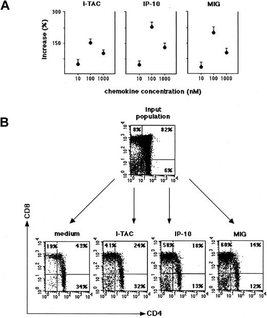 Fig. 5. Chemoattraction of thymocytes from human thymuses by I-TAC, IP-10, and Mig. / Freshly isolated thymocytes from thymuses of 5-day-old to 3-month-old children were assayed for chemotaxis in response to different concentrations of the 3 chemokines. (A) Values are expressed as percentage increase of cells migrated in response to I-TAC, IP-10, and Mig versus cells migrated in the presence of medium alone. Data represent mean values ± SE of 4 separate experiments. (B) Input and migrated thymocytes were costained for CD4 and CD8 and analyzed by FACSCalibur.
