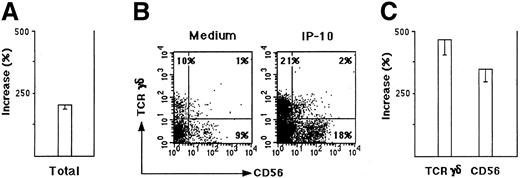 Fig. 6. Chemoattraction of thymocyte suspensions depleted of TCRαβ+ cells. / Thymocyte suspensions were depleted of TCRαβ+ cells by the MACS system (TCRαβ−) as described in “Materials and methods.” (A) Migration was expressed as percentage increase of cells responding to 100 nM IP-10 versus cells migrated in the presence of medium alone. The mean values ± SE were obtained in 4 separate experiments. (B) Data from one representative experiment showing the expression of TCRγδ and CD56 by TCRαβ− thymocytes migrated in response to medium alone or to 100 nM IP-10. (C) Migration of TCRγδ+ and CD56+ in response to IP-10, expressed as percentage increase in comparison with the same cells migrated in response to medium alone. The mean values ± SE obtained in 4 separate experiments are reported.