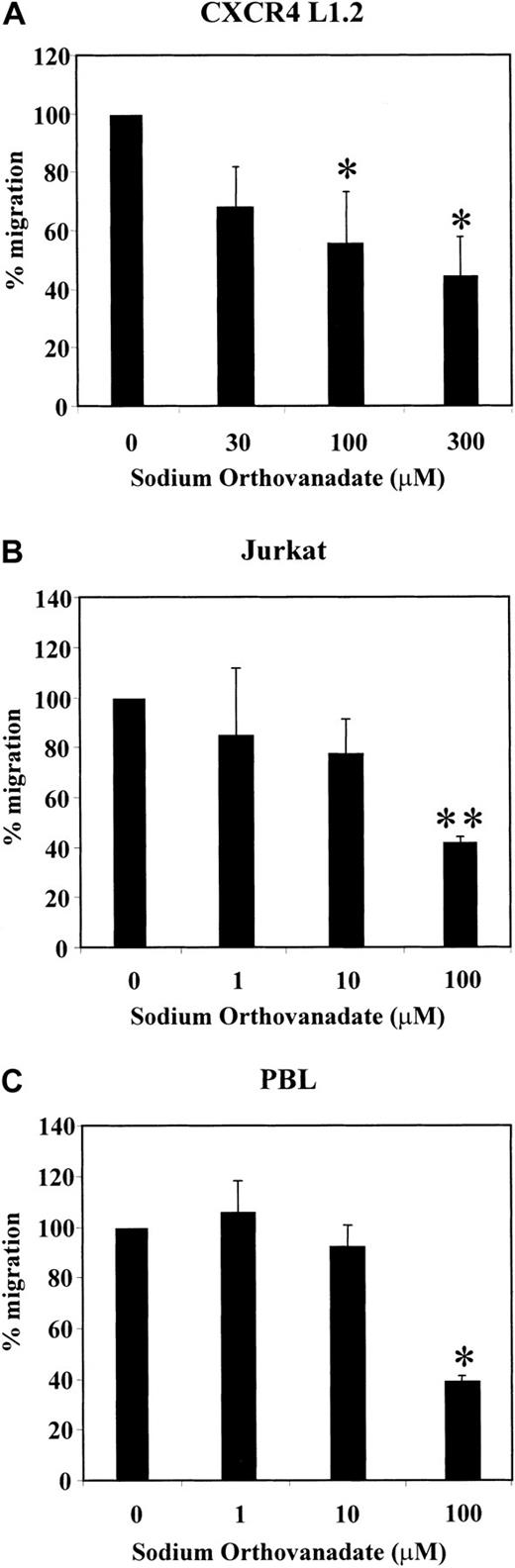 Fig. 2. Effect of sodium orthovanadate on SDF-1α–induced chemotaxis of CXCR4 L1.2 cells, Jurkat cells, and PBLs. / CXCR4 L1.2 (A), Jurkat (B), or PBL (C) cells were untreated (0) or pretreated with different concentrations of sodium orthovanadate for 45 minutes. Migration toward 25 ng/mL SDF-1α was measured after 3 hours. Chemotaxis of cells in the absence of inhibitor is considered 100% migration. *P < .05; **P < .005.