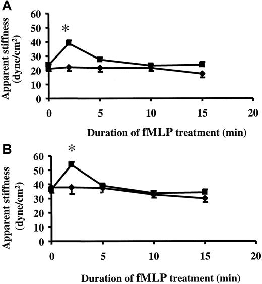 Fig. 2. fMLP-induced changes in the stiffness of neutrophils adherent to untreated or TNF-α–treated ECs. / Neutrophils were allowed to adhere to untreated ECs (A) or to 24-hour TNF-α–treated ECs (B) for 15 minutes. After measuring the baseline stiffness, 1 μM fMLP or vehicle was added, and neutrophil stiffness was measured 2, 5, 10, and 15 minutes later. Data are expressed as mean ± SEM (n = 4). *P < .05 when compared to the baseline stiffness. ▪, fMLP; ♦, vehicle.
