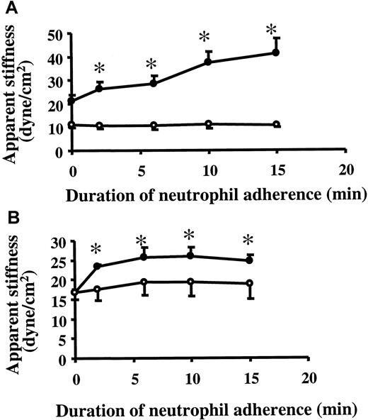 Fig. 5. Effect of cytochalasin D and jasplakinolide on EC stiffening response induced by neutrophils. / Twenty-four-hour TNF-α–treated ECs were incubated with 1 μg/mL cytochalasin D or control vehicle (A) or with 5 μM jasplakinolide or control vehicle (B) for 30 minutes along with the anti–β1-integrin–coated beads. Cells were then washed twice, and the stiffness before or 2, 6, 10, and 15 minutes after neutrophil adherence was evaluated using magnetic twisting cytometry as described in “Materials and methods.” Data are expressed as mean ± SEM (n = 4). ●, control vehicle; ○, agonist. *P < .05 when compared to the vehicle-pretreated controls.