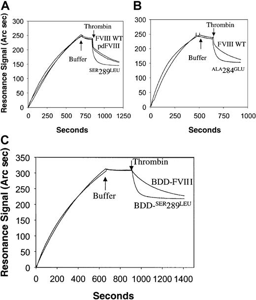Fig. 2. Determination of the kinetic parameters for nonproteolytic and thrombin-mediated dissociation of FVIII and variants from monoclonal antibody ESH8. / The monoclonal antibody ESH8 was covalently immobilized to a biosensor chip at 20 ng/mm2. FVIII WT,SER289LEU, and pdFVIII (A); FVIII WT andALA284GLU (B); or BDD-FVIII and BDD-SER289LEU (C) (2.5 nM) were bound to ESH8 at 1.12 ng/mm2. A resonance response of 200 Arc seconds corresponds to 1 ng protein bound per mm2 of the biosensor chip surface. The kinetics of plasma-derived FVIII, FVIII WT,SER289LEU, ALA284GLU, BDD-FVIII, or BDD-SER289LEU nonproteolytic dissociation from ESH8 was recorded after replacement of the ligand by dissociation buffer (at arrow). At the second arrow, thrombin (1 U/mL) was added and thrombin-mediated dissociation of the A2 subunit from immobilized dimers was followed. The koff values for nonproteolytic and thrombin-mediated dissociation were derived from dissociation kinetic curves.