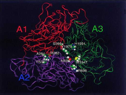 Fig. 5. Hemophilic mutations with 1-st/2-st discrepancy are located at or close to the A domain interfaces. / Global view of the FVIII A domain model marking the positions ofALA284, ARG531, and ARG282 at the A1-A2 interface; SER289 and TYR1979 at the A1-A3 interface close to the pseudo-threefold axis; andHIS1954, ASN694, MET1947, andARG698 at, or adjacent to, the A2-A3 interface.