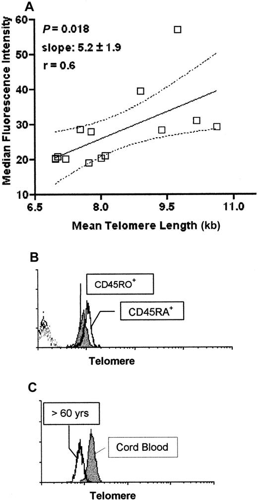 Fig. 2. Comparison of telomere analysis by flow-FISH technique and Southern blotting. / A total of 14 PBMC samples were collected from individuals of different ages ranging from umbilical cord blood samples to individuals over 70 years old. Cells were cyropreserved in 10% DMSO for telomere length analysis by flow-FISH and snap frozen as pellets for Southern blotting. Cells analyzed for telomere length by flow-FISH were all processed and run on the same day and all samples for Southern blot analysis were also run simultaneously (A). Purified CD45RA+and CD45RO+ T lymphocytes were purified using the MACS separation protocols (see “Patients, materials, and methods”) and then processed for flow-FISH as described (B). The histogram profiles show CD45RA+ T cells (open histogram) and CD45RO+ T cells (closed histogram). Dotted histogram represents the control X-chromosome–FITC probe. Comparison of telomere length using the flow-FISH of umbilical cord blood PBMCs and PBMCs from an individual over 60 years of age is shown in panel C. The histogram shows cord blood PBMCs (closed histogram) versus PBMCs from an over 60 year old (open histogram). Dotted histogram represents the control PNA probe (X-chromosome–FITC). All cells analyzed for flow-FISH were gated on live, nonblastoid cells as described (Figure 1B). At least 50 000 live events were acquired.