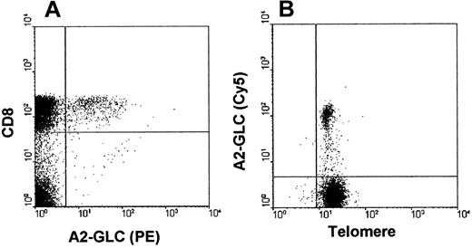 Fig. 3. Determination of telomere length in MHC class I/peptide tetramer staining on PBMCs isolated from AIM patients. / (A) PBMCs from an AIM patient stained with CD8 RPE-Cy5 and HLA-A2 GLC-PE tetramer. Cells were gated to exclude doublets and dead/dying cells as determined by propidium iodide (Figure 1B). At least 50 000 live events were acquired on the flow cytometer. (B) Two-color flow-FISH analysis of telomere staining (FITC) of A2-GLC tetramer–positive cells (A2-GLC–Cy5) in an acute AIM patient. At least 50 000 live events were acquired.