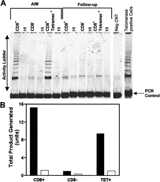 Fig. 7. EBV-specific CD8+ cells express high telomerase activity during AIM. / CD8+ T cells were first isolated from a PBMC population from an AIM patient. B8-RAK tetramer–positive cells were then isolated from the CD8+ population using anti-PE MACS beads. Telomerase activity was determined using the TRAP assay autoradiography performed on CD8+, CD8−, and tetramer–enriched T-cell fractions from the patient during AIM and 12 months after follow-up (A). The TRAP-eze protocol, in which telomerase activity is amplified by PCR, gives rise to a ladder of products with 6-bp increments, starting at 50 nucleotides. Heat-inactivated (HI) cell extracts provided a telomerase negative control for each sample. The negative control (−CNT) contains the PCR mix without the cell extract. In addition, amplification of the internal control oligonucleotides together with the TS primer give rise to the internal PCR control (36 bp). Telomerase activity in acute and follow-up AIM patient activity was expressed as total product generated calculated according to manufacturer's instructions (B). Each unit of total product generated corresponds to the number of TS primers extended with at least 4 telomeric repeats by telomerase in the extract in a 10-minute incubation at 30°C. Telomerase activity in acute AIM patients, ▪; follow-up patient samples, ■. In a total of 4 patients studied, high telomerase activity was found in CD8+ T cells during AIM, which was substantially reduced in the follow-up samples taken after 12 months or longer after resolution of the acute infection.