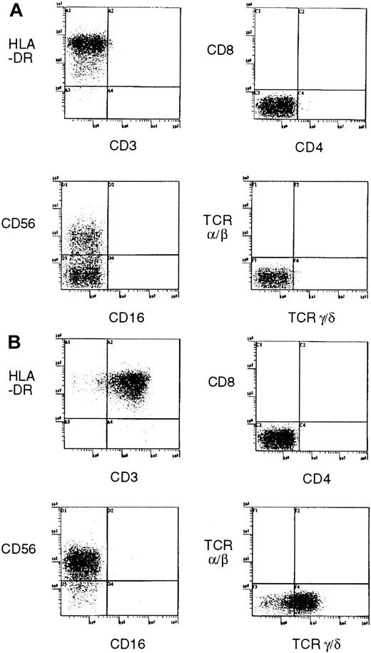 Fig. 4. Expression of cell surface markers for subset of T cells and NK cells by established cell lines. / (A) SNK-6. (B) SNT-8.