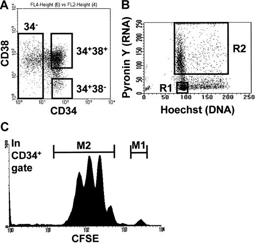 Fig. 1. FACS profiles of the cell populations tested. / (A) Dot plot of CD34-FITC versus CD38-PE–labeled PI−cells showing CD34+38−, CD34+CD38+, and CD34− populations. (B) Dot plot of Hst-stained versus Py-stained PI−CD34+ cells showing CD34+ G0 (R1) and CD34+ G1/S/G2/M (R2) populations. (C) Histogram of CFSE-stained PI−CD34+ cells showing TPO-resistant (M1) and TPO-responsive (M2) populations.