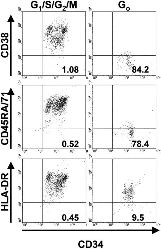 Fig. 3. Phenotype analyses of cycling (G1/S/G2/M) and quiescent (G0) subsets of CD34+ cell populations. / The numbers in the lower right quadrant of each plot indicate the percentage of PI− events of the corresponding phenotype (ie, positive for CD34 and negative for CD38, CD45RA, CD71, or HLA-DR). Results are from FACS analyses of cells from patient 1.