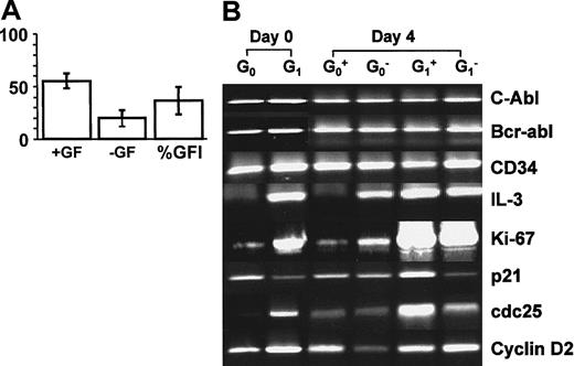 Fig. 7. Results showing that quiescent CML cells up-regulate IL-3 expression on entry into the cell cycle. / (A) The histograms show the level of proliferation by single, initially quiescent (G0) CD34+ CML cells cultured for 4 days in SFM in the presence or absence of added growth factors. The results shown are the mean level of proliferation for 288 single G0 cells analyzed from each of 3 similarly studied samples from patients with CML. (B) RT-PCR analyses of viable annexin-V−/PI− populations of G0or G1/S/G2/M CD34+ CML cells before (10 000 cells) and after (5000 cells) they were cultured for 4 days in either the absence (G0−, G1−) or presence (G0+, G1+) of added growth factors.