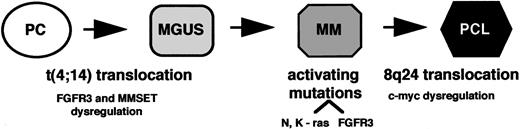 Fig. 7. A model of progressive genetic events in t(4;14) MM. / A plasma cell (PC) is immortalized by a t(4;14) translocation, resulting in dysregulated expression of FGFR3 and MMSET in MGUS. Activating mutations occur in either FGFR3 or Ras and are associated with malignant progression of the myeloma clone. Subsequent genetic events, such as c-myc dysregulation by 8q24 translocation,17 lead to extramedullary growth of the tumor cells, resulting in secondary plasma cell leukemia (PCL).