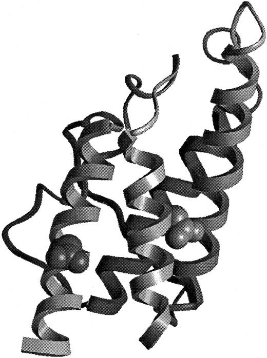 Fig. 1. Structural representation of BAY 36-1677. / The model of BAY 36-1677 is derived from the structure of Müller et al.41 The mutations Thr 13 to Asp (right) and Arg 121 to Glu (left) have been introduced into the structural representation.