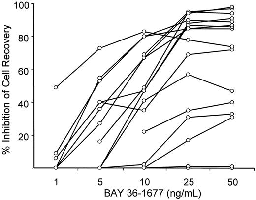 Fig. 2. BAY 36-1677 inhibits recovery of leukemic cells after culture in a dose-dependent manner. / Each point represents inhibition of cell recovery in 7-day stroma-supported cultures of leukemic lymphoblasts containing BAY 36-1677 at the indicated concentration relative to cell recovery in parallel control cultures without the cytokine. Values represent the means of the results of 2 cultures for each concentration.
