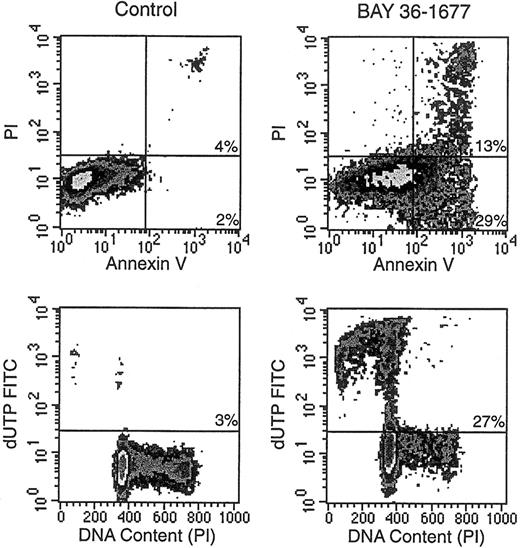 Fig. 5. BAY 36-1677 induces apoptosis in leukemic lymphoblasts. / KOPN57bi cells were exposed for 7 days to BAY 36-1677 (25 ng/mL) and then labeled with annexin V FITC and propidium iodide (PI; top panels). Flow cytometric density plots show binding of annexin V in BAY 36-1677–treated cells, indicating exposure of phosphatidylserine residues on the cell membrane (early stages of apoptosis), and PI labeling, indicating membrane permeabilization (late-stage cell death). Bottom panels illustrate DNA content analysis and staining with dUTP FITC, which labels cells with fragmented DNA. BAY 36-1677 caused DNA fragmentation and hypodiploidy, both characteristic of apoptosis.