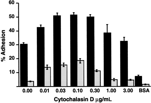 Fig. 8. Treatment with cytochalasin D does not correct defective adhesion of LADV cells to fibronectin. / Wells were coated overnight with 1.5 μg/well FN. LADV (░) or control (▪) lymphoblastoid cells were treated with increasing concentrations of cytochalasin D at 37°C for 15 minutes and their adhesion was measured after a subsequent 30-minute incubation on fibronectin with PMA (10−7 M). Adhesion without PMA was 2.4% for LADV cells and 17.4% for control lymphoblast cells in the absence of cytochalasin D and increased to 2.8% and 24%, respectively, with 0.1 mg/mL cytochalasin D. Adhesion to BSA in the presence of PMA was measured in parallel. Results shown are representative of at least 3 experiments.