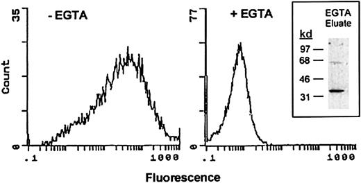 Fig. 1. Demonstration of annexin II surface expression on RAW264.7 macrophages by flow cytometric analysis. / Control and EGTA-treated RAW264.7 macrophages were incubated with anti–annexin IgG (clone Z014, Zymed) in the absence or presence of EGTA followed by FITC-conjugated goat antimouse IgG. Relative fluorescence units are shown for each sample. To verify that annexin II was removed from the cell surface by treatment with EGTA, eluates were examined by Western blot as described in “Materials and methods” (inset).