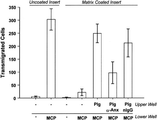 Fig. 7. Matrix invasion by THP-1 monocytes is inhibited by anti–annexin II. / Cells (4 × 104) were suspended in MSFM and preincubated with either 25 μg/mL monoclonal anti–annexin II IgG (clone Z014, Zymed), monoclonal anti-CD16 IgG, or anti-CD11b IgG. Plasminogen (Plg, 10 μg/mL) was added to the cell suspension and cells were aliquoted into an insert containing a porous (8 μm) polycarbonate membrane previously coated with Matrigel. The insert was placed into a well containing MCP-1 (50 ng/mL) and incubated 24 hours at 37°C. Cells that migrated into the lower well were counted using phase-contrast microscopy. The results of 2 independent experiments containing 3 replicate samples for each condition per experiment were pooled. The 2 experiments were identical except for the control IgG used. For the purposes of presentation and analysis the 2 groups were combined. Data are presented as the mean ± SEM. nIgG indicates normal IgG.
