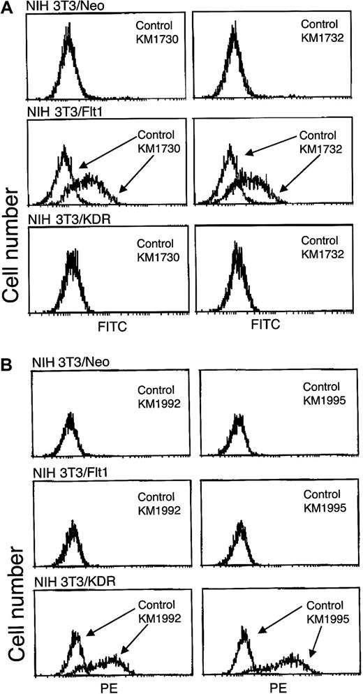 Fig. 1. Specificity of mAbs KM1730 and KM1732 against Flt-1. / (A) Flow cytometric analysis of the cell binding of antihuman Flt-1 mAbs, KM1730 and KM1732. NIH 3T3/Neo, NIH 3T3/Flt-1, and NIH 3T3/KDR cells were stained with KM1730, KM1732, or control mouse IgG1 mAb and analyzed by flow cytometry. (B) Flow cytometric analysis of the cell binding of antihuman KDR mAbs, KM1992 and KM1995.