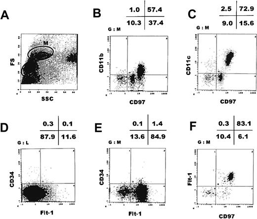 Fig. 3. The major population of human peripheral blood monocytes expresses Flt-1. / Flow cytometric analysis of peripheral blood mononuclear cells obtained by Ficoll/Paque density gradient centrifugation. The M-fraction (monocyte fraction) in panel A was further analyzed by double staining with mAbs indicated in panels B, C, E, and F. (D) The L-fraction (lymphocyte fraction) in panel A was analyzed by double staining with anti-CD34 and anti–Flt-1 mAbs. FS indicates forward scatter; SSC, side scatter.