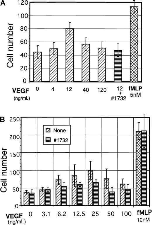 Fig. 4. VEGF induces cell migration of human peripheral monocytes and macrophagelike cells differentiated from cord blood cells. / (A) Human peripheral blood monocytes were analyzed for VEGF-dependent cell migration. Experimental procedures are outlined in detail in “Materials and methods.” In some wells, anti–Flt-1 neutralizing mAb KM1732 (1 μg/mL) was used for the blocking of Flt-1. (B) Human macrophagelike cells (adherent cells) were obtained from CD34+ cord blood cells after 12- to 14-day cultures (see “Materials and methods”), and 1 × 106/mL of cells in RPMI 1640 medium (FCS-free) were used for VEGF-dependent cell migration assay as indicated in panel A.