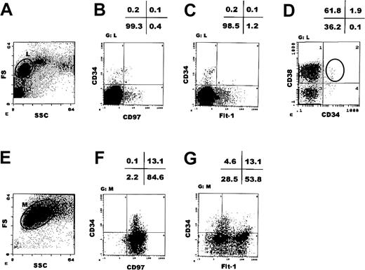 Fig. 5. CD34+Flt-1− cells in cord blood differentiate to CD97+Flt-1+macrophagelike cells after long-term culture. / (A) Flow cytometric analysis of human cord blood mononuclear cells. The L-fraction was further analyzed by double staining with CD34 and CD97 (B), with CD34 and Flt-1 mAbs (C), or with CD34 and CD38 mAbs (D). After a 2-week culture with a cytokine mixture (see “Materials and methods”), CD34+CD38+ cells were again analyzed by flow cytometry (E). The M-fraction in panel E was further analyzed by double staining with CD34 and CD97 (F), or with CD34 and Flt-1 mAbs (G). FS indicates forward scatter; SSC, side scatter.