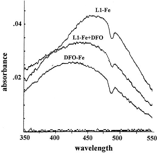 Fig. 4. Spectrophotometric determination of Fe transfer from L1 to DFO. / A complex of L1-Fe was formed by mixing Fe and NTA (5 mM FAS:35 mM NTA) with L1 to give final concentrations of 100 μM L1 and 10 μM Fe, followed by incubation for 1 hour at room temperature. A spectrum (range, 350-550 nm) of the L1-Fe complex was obtained (“L1-Fe complex”), followed by addition of 50 μM DFO to the cuvette, incubation for 10 minutes, and determination of a second spectrum (“L1-Fe complex + DFO”). The “DFO-Fe complex” was generated by mixing Fe and NTA (5 mM FAS:35 mM NTA) with DFO, to give final concentrations of 50 μM DFO and 10 μM Fe and incubating for 1 hour. The absorbance dip at 470 nm is due to instrument noise.