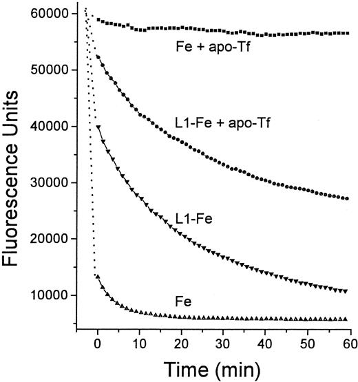 Fig. 6. Time dependence of Fe transfer from L1 to apo-Tf. / Two solutions were prepared in HBS, one containing 12 μM Fe as Fe:NTA, and the other preformed L1-Fe complexes containing 100 μM L1 and 12 μM Fe. From each solution 20 μL was mixed with an equal volume of either HBS or HBS containing 25 μM apo-Tf, and incubated for 15 minutes at room temperature. To each mixture was added 100 μL 2.5 μM Fl-DFO in HBS and the fluorescence was monitored with time: ▪, Fe + apo-Tf; ●, L1-Fe + apo-Tf; ▾, L1-Fe; ▴, Fe alone. The final concentrations of L1, Fe, apo-Tf, and Fl-DFO in the reaction mixture were 14.3, 1.7, 3.6, and 1.8 μM, respectively.