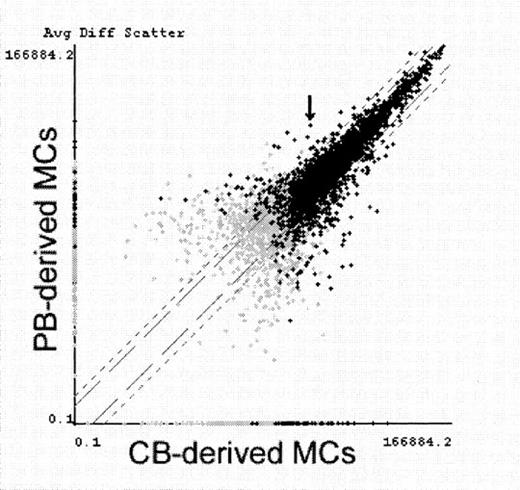 Fig. 3. Comparative analysis of gene expression in PB-derived MCs and CB-derived MCs. / CB-derived MCs and PB-derived MCs were primed with IL-4 for 6 hours and examined for gene expression screening using GeneChip. Average fluorescence differences of approximately 5600 genes (7129 probe-arrays) were scattered on the logarithmic graph according to the values obtained from PB-derived MCs (vertical) and CB-derived MCs (horizontal). Black crosses indicate transcripts judged to be present at least in either MC type, and gray crosses indicate transcripts judged to be absent or marginal in both MC types. FcεRIα mRNA (indicated with an arrow) was determined with Comparison Analysis software to be the fifth most increased transcript in PB-derived MCs. Similar results were obtained in another experiment using IL-4–unprimed MCs.