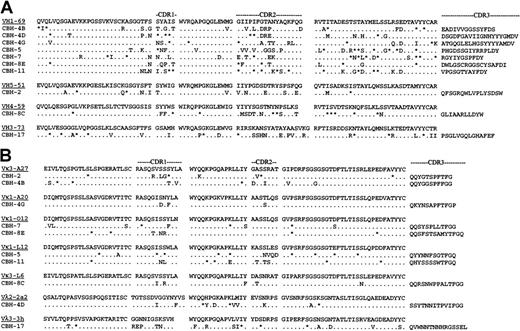 Fig. 1. Deduced amino acid sequences of anti-HCV E2 hybridoma-region genes. / (A) VH genes. (B) VL genes. Amino acid sequences of the most homologous germline VH genes are shown above the cloned hybridoma V and VK region sequences. Amino acid replacement mutations are shown as uppercase letters, and silent mutations are indicated by asterisks.