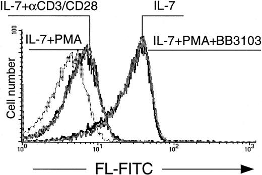 Fig. 4. T-cell activation by CD3 and CD28 ligation or PMA treatment decreases mFL expression in T lymphocytes. / Cells were cultured with IL-7 (15 ng/mL) for 72 hours under the indicated conditions. Anti(α)-CD3 and CD28 mAbs were present for 72 hours, whereas PMA (20 ng/mL) and metalloproteinase inhibitor BB3103 (1 μM) were added for the last 3 hours of culture only. Expression of mFL was analyzed by FACS. Dotted line indicates staining with isotype-matched control mAb.