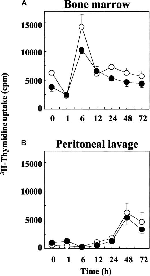 Fig. 6. Proliferative capability of bone marrow derived precursors from TG5 and FVB mice after thioglycolate injection. / 3H-thymidine uptake was measured in 48-hour cultures as described. Cells were harvested from bone marrow (A) and peritoneal lavage (B) before and 1, 6, 12, 24, 48, and 72 hours after thioglycolate injection. Cells were pooled from 2 to 4 animals in each group and plated in triplicates. Open circles indicate cell number in FVB mice; solid circles, cell numbers in TG5 mice. Values are mean ± SEM (n = 4 separate experiments).