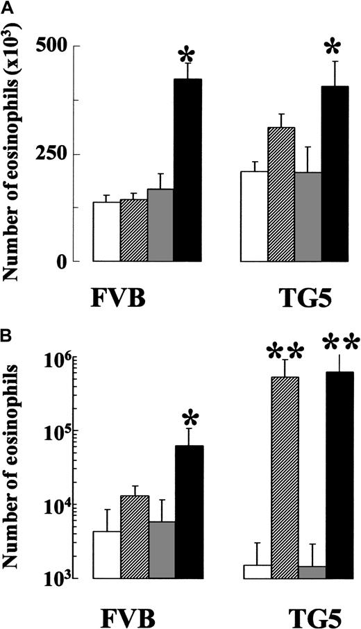 Fig. 7. Synergistic effects of IL-5 and IL-9 in eos maturation. / Cells harvested from bone marrow of naı̈ve animals (A) and peritoneal lavage of thioglycolate-injected mice (B) were cultured in medium alone (open bars), with IL-5 (hatched bars), with IL-9 (gray bars), and with the combination of IL-5 and IL-9 (black bars) for 96 hours. After 96 hours cell cultures were analyzed for total and eos numbers. *P < .05; **P < .01 denotes significant differences between the marked group and the medium controls (open bars). Values are expressed as mean ± SEM (n = 4 separate experiments). In each experiment 2 to 4 samples were pooled from each group before culture.