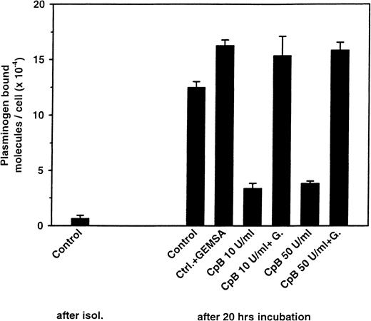 Fig. 2. Effect of CpB treatment on the up-regulation of plasminogen binding. / Neutrophils were cultured as in Figure 1A for 20 hours. After washing, the cells were treated with 10 (50 μg/mL) and 50 U/mL (250 μg/mL) of CpB for 1 hour at 37°C in the presence or absence of the CpB inhibitor GEMSA (G) at 0.3 mM. Plasminogen binding was then measured. The controls are freshly isolated neutrophils (after isolation) or the untreated, cultured neutrophils. The experiment shown (means ± SEM of the triplicates) is representative of 3 different experiments.