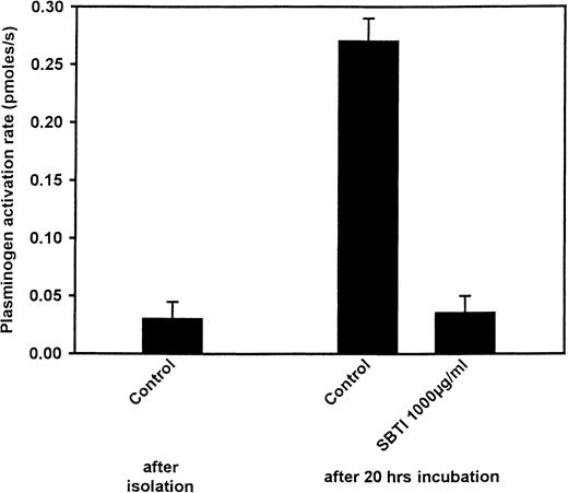 Fig. 4. Effect of culture and SBTI on the capacity of neutrophils to promote plasminogen activation by tPA. / Neutrophils (1.5 × 106/mL), either freshly isolated or cultured overnight, with or without SBTI, were washed and tested for their effects on activation of plasminogen (100 nM) by tPA (70 pM) with the use of the chromogenic substrate S-2251 (0.15 mM). Means ± SEM of triplicates are shown.