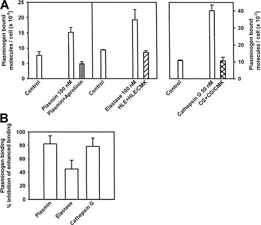 Fig. 5. Effect of protease treatment and carboxypeptidase treatment on plasminogen-binding capacity induced by neutrophils, plasmin, leukocyte elastase, or cathepsin G. / (A) Effect of protease treatment on the plasminogen-binding capacity of neutrophils. Freshly isolated neutrophils (4 × 107/mL) were incubated for 30 to 60 minutes at 37°C with plasmin (100 nM), leukocyte elastase (100 nM), or leukocyte cathepsin G (50 nM), with or without an excess of a specific inhibitor of the enzyme used. The concentrations of the enzymes were based on dose titration experiments, and the concentrations of the inhibitors produced complete inhibition in chromogenic substrate assays. At the end of the incubation, cells were washed and plasminogen binding was assessed. The results are means ± SEM of triplicates, and the experiments were repeated at least 3 times. For 3 such experiments, the increase in plasminogen binding to cells was statistically significant for each enzyme (P < .05). (B) Effects of carboxypeptidase treatment on the up-regulation of plasminogen binding induced by plasmin, leukocyte elastase, or cathepsin G. Neutrophils, treated as in panel A, were washed and then incubated for 30 minutes with 5 U/mL CpB. Specific plasminogen binding was then measured, and the data are expressed as the inhibition of the increase in plasminogen binding induced by each of the enzymes. The means ± SEM from 3 experiments are shown.