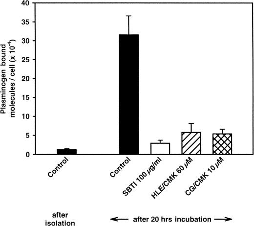 Fig. 6. Effect of inhibitors of leukocyte elastase (HLE/CMK) and cathepsin G (CG/CMK) on the up-regulation of plasminogen binding to cultured neutrophils. / Cells (1.5 × 107) were cultured for 20 hours without or in the presence of the indicated enzyme inhibitors: SBTI, 100 μg/mL; HLE/CMK, 60 μM; or CG/CMK, 10 μM. After washing, plasminogen binding was assessed. Means ± SEM are from at least 4 separate experiments.