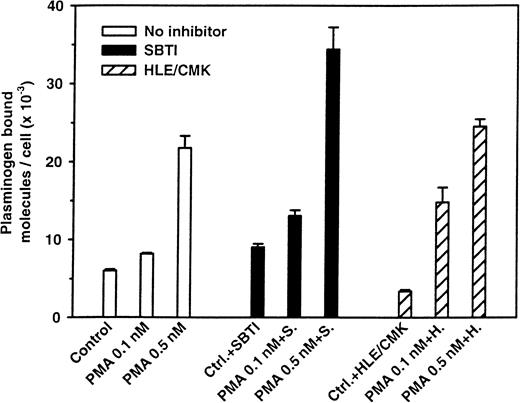Fig. 7. Effect of protease inhibitors on the up-regulation of plasminogen binding induced by PMA. / Neutrophils (1 × 107) were stimulated with 0.1 and 0.5 nM PMA for 20 minutes at 37°C in the presence or absence of SBTI (100 μg/mL) or HLE/CMK (10 μM). After washing, specific plasminogen binding was quantified. The results are from one experiment (means ± SEM of the triplicates) and are representative of at least 3 such experiments. In a set of 6 other experiments, the cathepsin G inhibitor CG/CMK (2 to 25 μM) did not inhibit the PMA-induced increase in plasminogen receptor expression (results not shown).